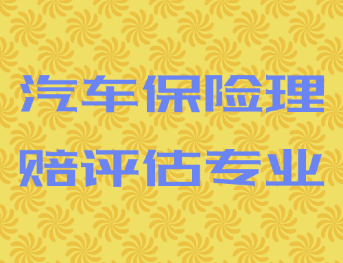 技工证汽车保险理赔与评估专业